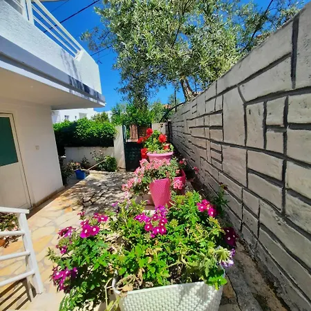 Abelia 4*