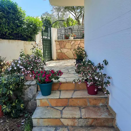 Abelia 4* Ksamil