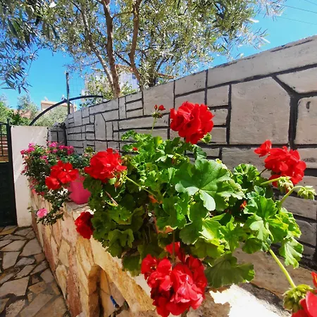 Abelia Ksamil