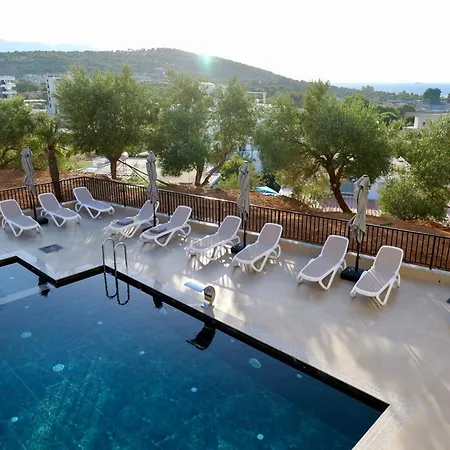 Abelia 4*